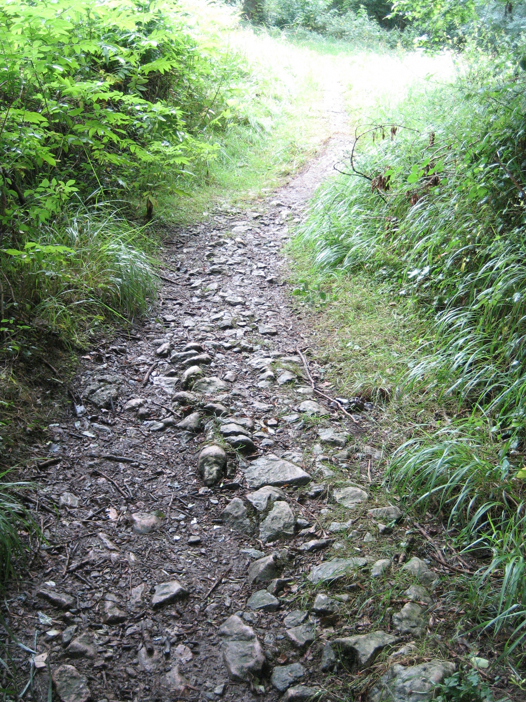 VI. Naturaldia (2018)