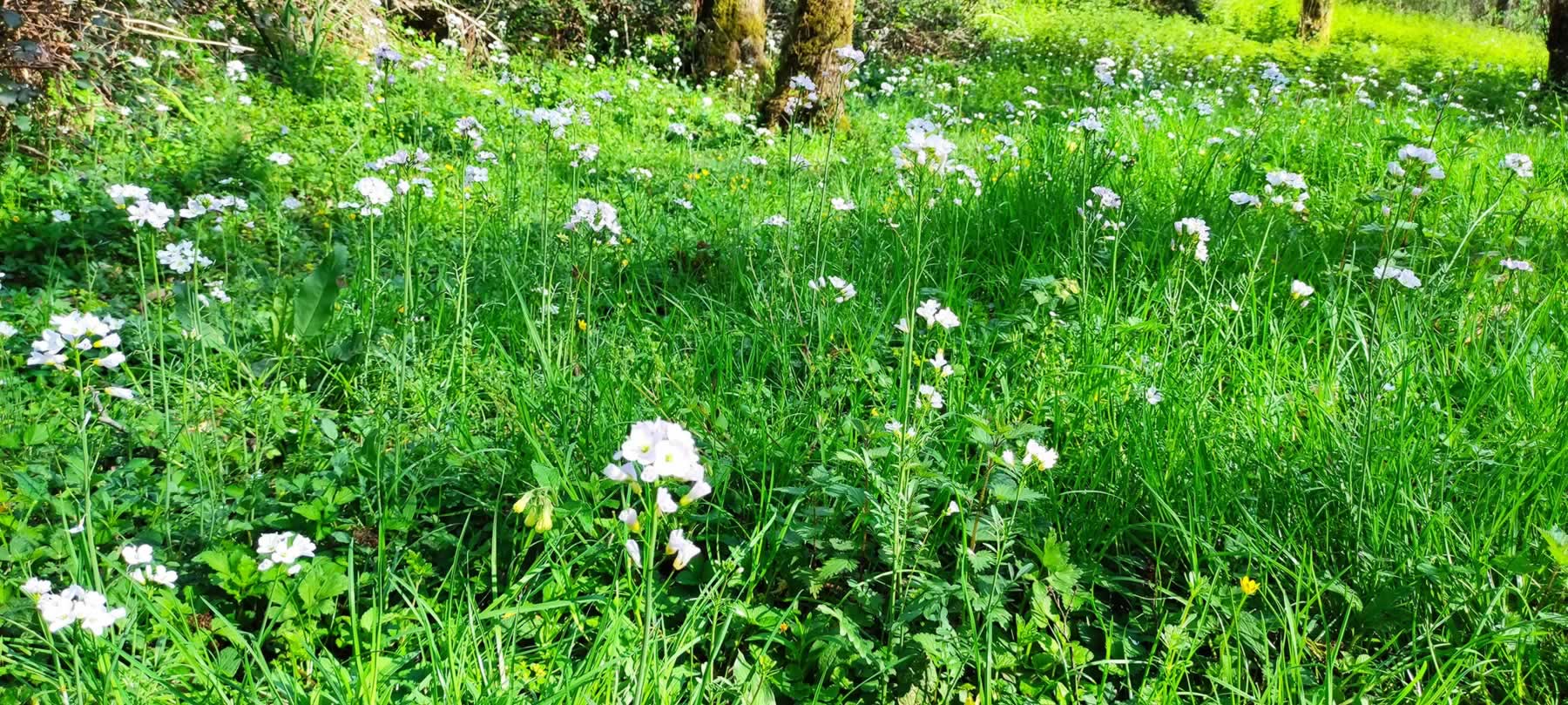 Aurtengo azken ibilbideak – 2012