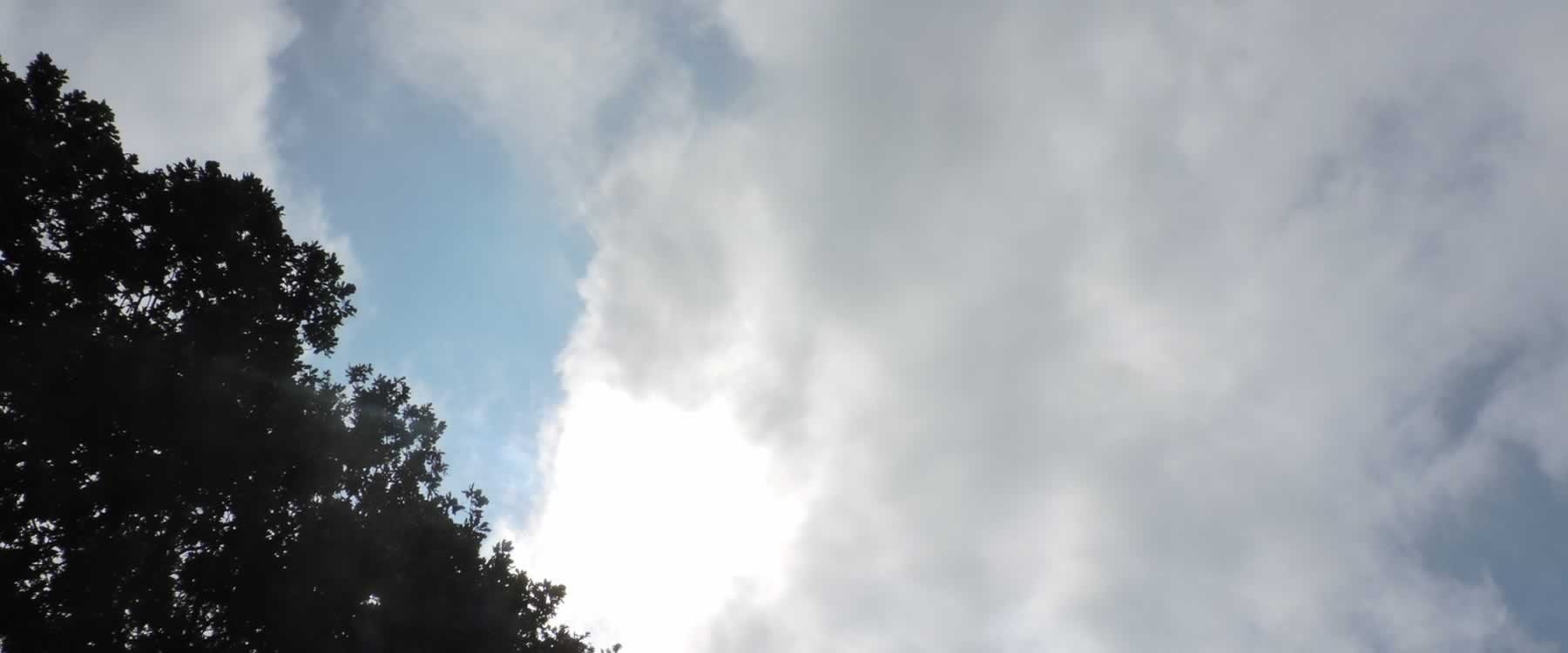 “+55 Altzatik abiatutako ibilbideak” – 2013